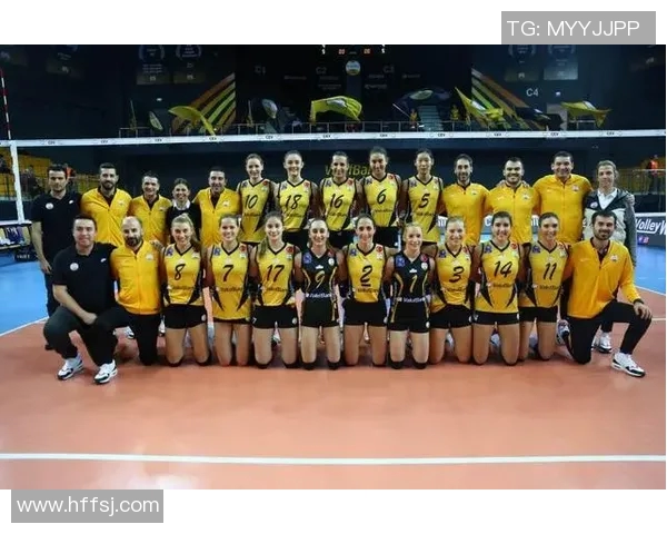 南京排球队的节奏与欧冠足球的深度解析与对比分析